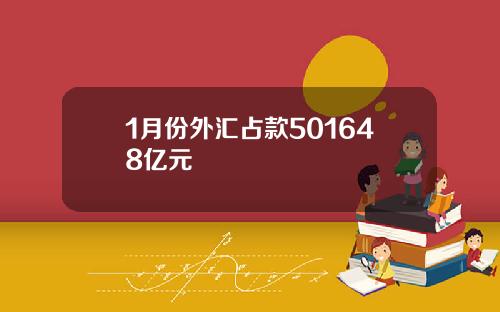 1月份外汇占款501648亿元