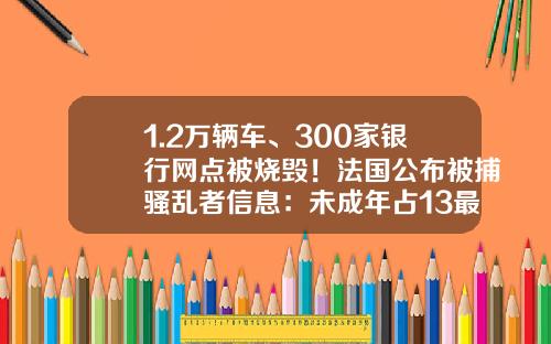 1.2万辆车、300家银行网点被烧毁！法国公布被捕骚乱者信息：未成年占13最小11岁，还有外国人-2000万欧元兑换人民币是多少【新闻】.