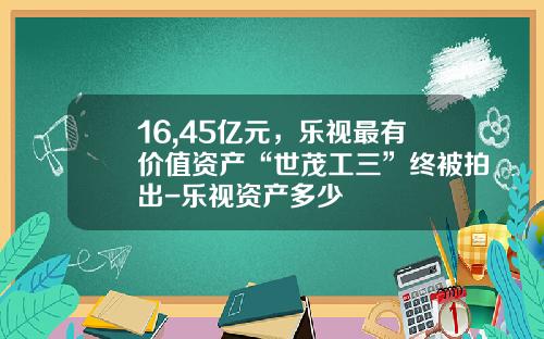 16,45亿元，乐视最有价值资产“世茂工三”终被拍出-乐视资产多少