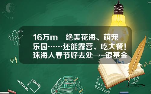 16万m²绝美花海、萌宠乐园……还能露营、吃大餐！珠海人春节好去处→-银基金湾