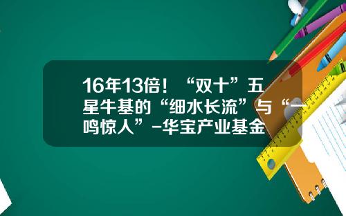 16年13倍！“双十”五星牛基的“细水长流”与“一鸣惊人”-华宝产业基金