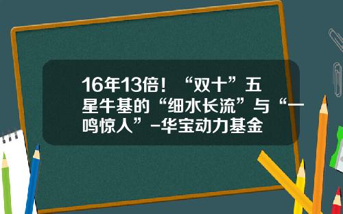 16年13倍！“双十”五星牛基的“细水长流”与“一鸣惊人”-华宝动力基金