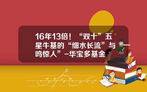 16年13倍！“双十”五星牛基的“细水长流”与“一鸣惊人”-华宝多基金