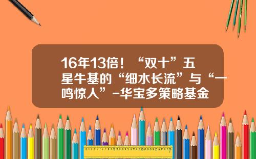16年13倍！“双十”五星牛基的“细水长流”与“一鸣惊人”-华宝多策略基金