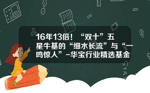 16年13倍！“双十”五星牛基的“细水长流”与“一鸣惊人”-华宝行业精选基金净值查询