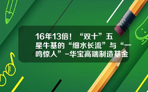 16年13倍！“双十”五星牛基的“细水长流”与“一鸣惊人”-华宝高端制造基金净值
