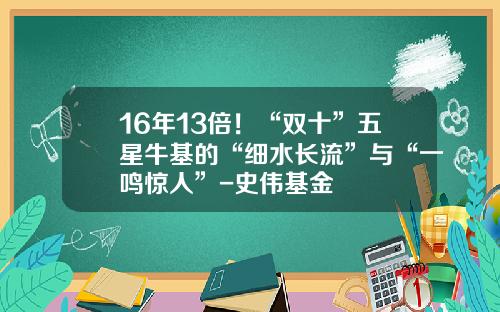 16年13倍！“双十”五星牛基的“细水长流”与“一鸣惊人”-史伟基金