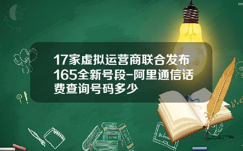 17家虚拟运营商联合发布165全新号段-阿里通信话费查询号码多少