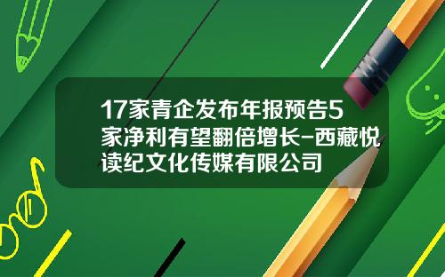 17家青企发布年报预告5家净利有望翻倍增长-西藏悦读纪文化传媒有限公司