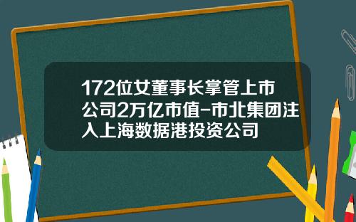172位女董事长掌管上市公司2万亿市值-市北集团注入上海数据港投资公司