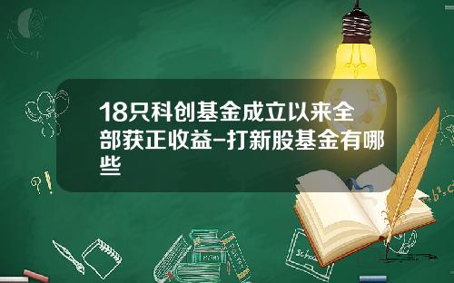 18只科创基金成立以来全部获正收益-打新股基金有哪些