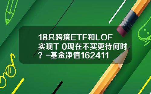 18只跨境ETF和LOF实现T+0现在不买更待何时？-基金净值162411