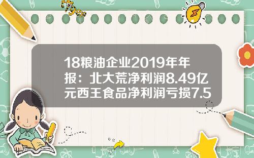 18粮油企业2019年年报：北大荒净利润8.49亿元西王食品净利润亏损7.52亿-黑龙江北大荒农业股份有限公司年报