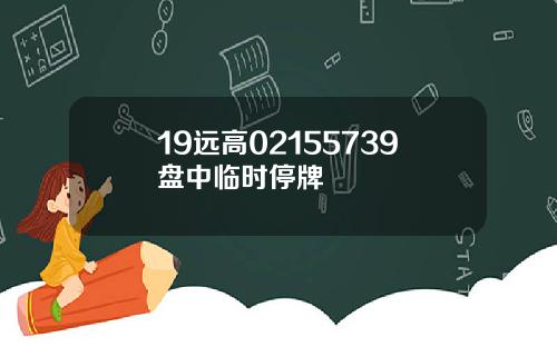 19远高02155739盘中临时停牌