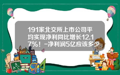 191家北交所上市公司平均实现净利同比增长12.17%！-净利润5亿应该多少市值