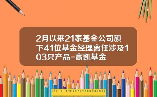 2月以来21家基金公司旗下41位基金经理离任涉及103只产品-高凯基金
