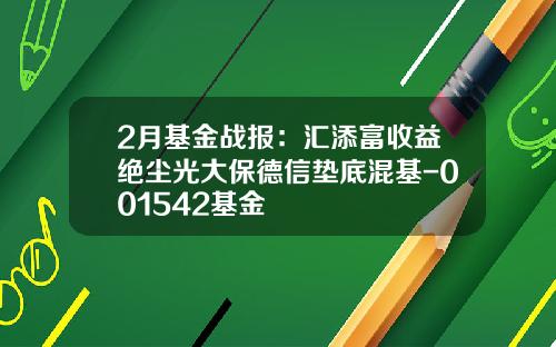 2月基金战报：汇添富收益绝尘光大保德信垫底混基-001542基金
