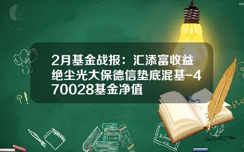2月基金战报：汇添富收益绝尘光大保德信垫底混基-470028基金净值
