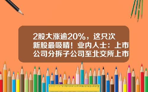 2股大涨逾20%，这只次新股最吸睛！业内人士：上市公司分拆子公司至北交所上市值得大力推广-上市公司投资子公司