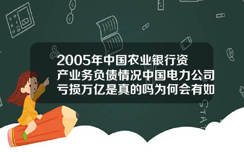 2005年中国农业银行资产业务负债情况中国电力公司亏损万亿是真的吗为何会有如此多的负债