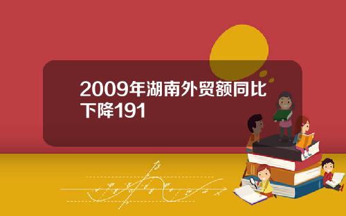 2009年湖南外贸额同比下降191