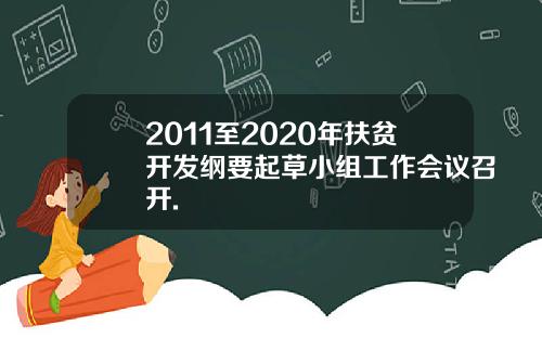 2011至2020年扶贫开发纲要起草小组工作会议召开.