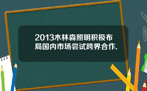 2013木林森照明积极布局国内市场尝试跨界合作.