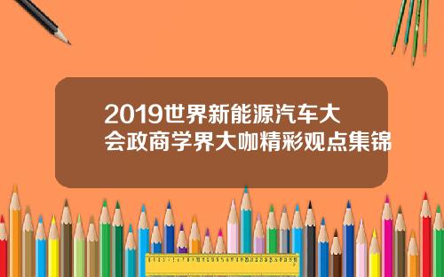 2019世界新能源汽车大会政商学界大咖精彩观点集锦