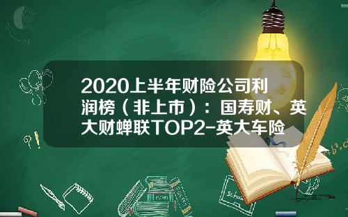 2020上半年财险公司利润榜（非上市）：国寿财、英大财蝉联TOP2-英大车险是大公司吗【新闻】