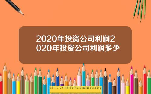 2020年投资公司利润2020年投资公司利润多少