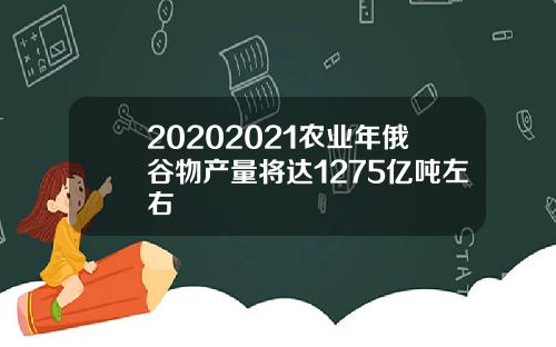 20202021农业年俄谷物产量将达1275亿吨左右