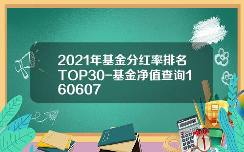 2021年基金分红率排名TOP30-基金净值查询160607