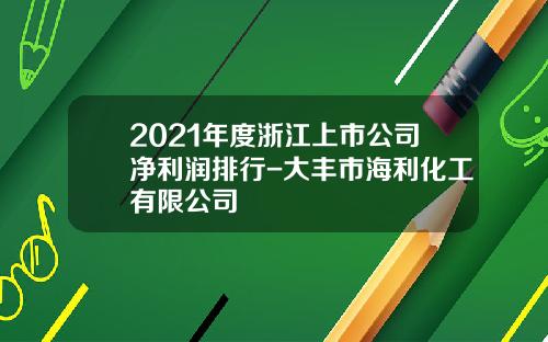 2021年度浙江上市公司净利润排行-大丰市海利化工有限公司