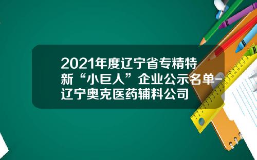 2021年度辽宁省专精特新“小巨人”企业公示名单-辽宁奥克医药辅料公司