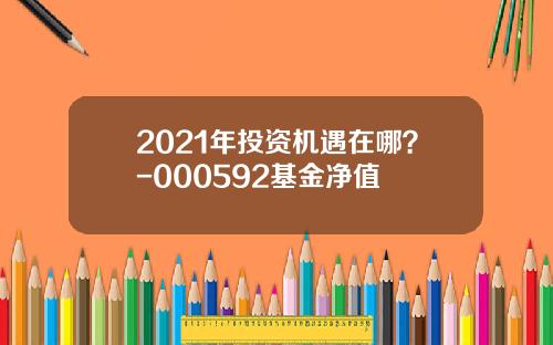 2021年投资机遇在哪？-000592基金净值