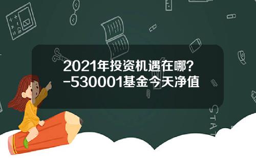 2021年投资机遇在哪？-530001基金今天净值