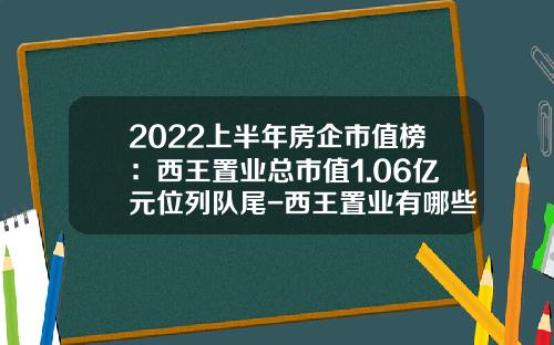 2022上半年房企市值榜：西王置业总市值1.06亿元位列队尾-西王置业有哪些子公司