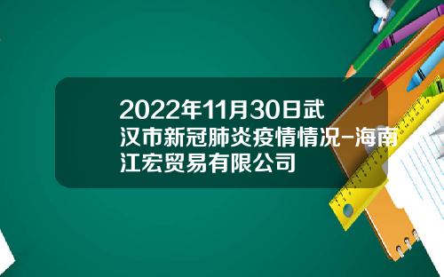 2022年11月30日武汉市新冠肺炎疫情情况-海南江宏贸易有限公司