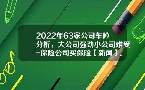 2022年63家公司车险分析，大公司强劲小公司难受-保险公司买保险【新闻】.