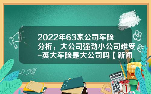 2022年63家公司车险分析，大公司强劲小公司难受-英大车险是大公司吗【新闻】.