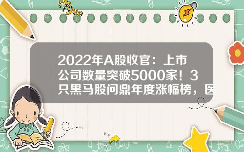 2022年A股收官：上市公司数量突破5000家！3只黑马股问鼎年度涨幅榜，医药生物夺回市值冠军！退市股数量创历史最高-上证有多少家上市公司