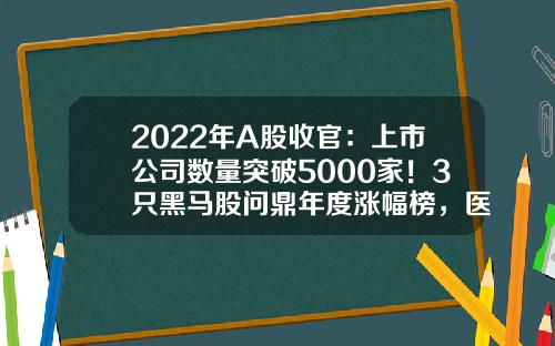 2022年A股收官：上市公司数量突破5000家！3只黑马股问鼎年度涨幅榜，医药生物夺回市值冠军！退市股数量创历史最高-最近上市的公司有哪些