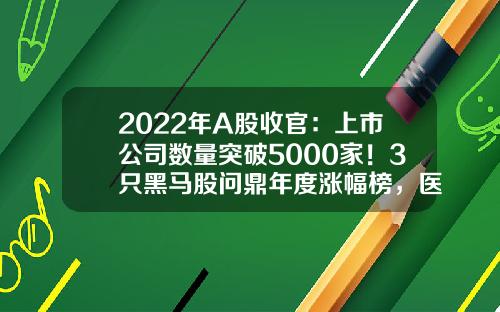 2022年A股收官：上市公司数量突破5000家！3只黑马股问鼎年度涨幅榜，医药生物夺回市值冠军！退市股数量创历史最高-退市的上市公司