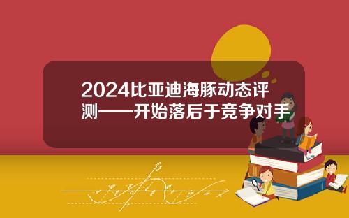 2024比亚迪海豚动态评测——开始落后于竞争对手