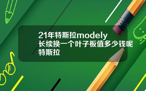 21年特斯拉modely长续换一个叶子板值多少钱呢特斯拉