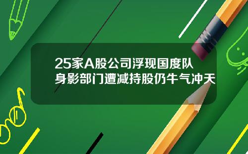 25家A股公司浮现国度队身影部门遭减持股仍牛气冲天