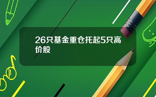 26只基金重仓托起5只高价股