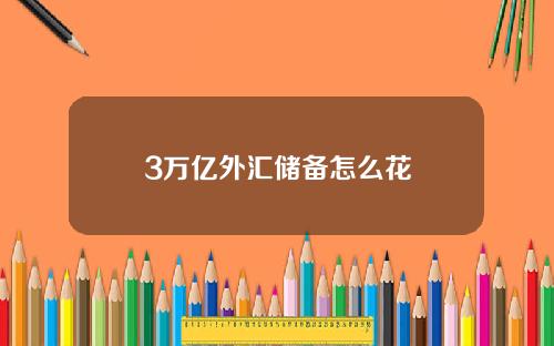 3万亿外汇储备怎么花
