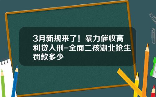 3月新规来了！暴力催收高利贷入刑-全面二孩湖北抢生罚款多少
