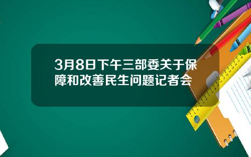 3月8日下午三部委关于保障和改善民生问题记者会